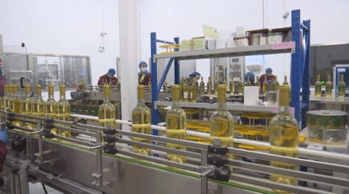 新年開門紅 訂單飽滿驅(qū)動(dòng)生產(chǎn)提速，技術(shù)轉(zhuǎn)讓賦能企業(yè)轉(zhuǎn)型升級(jí)